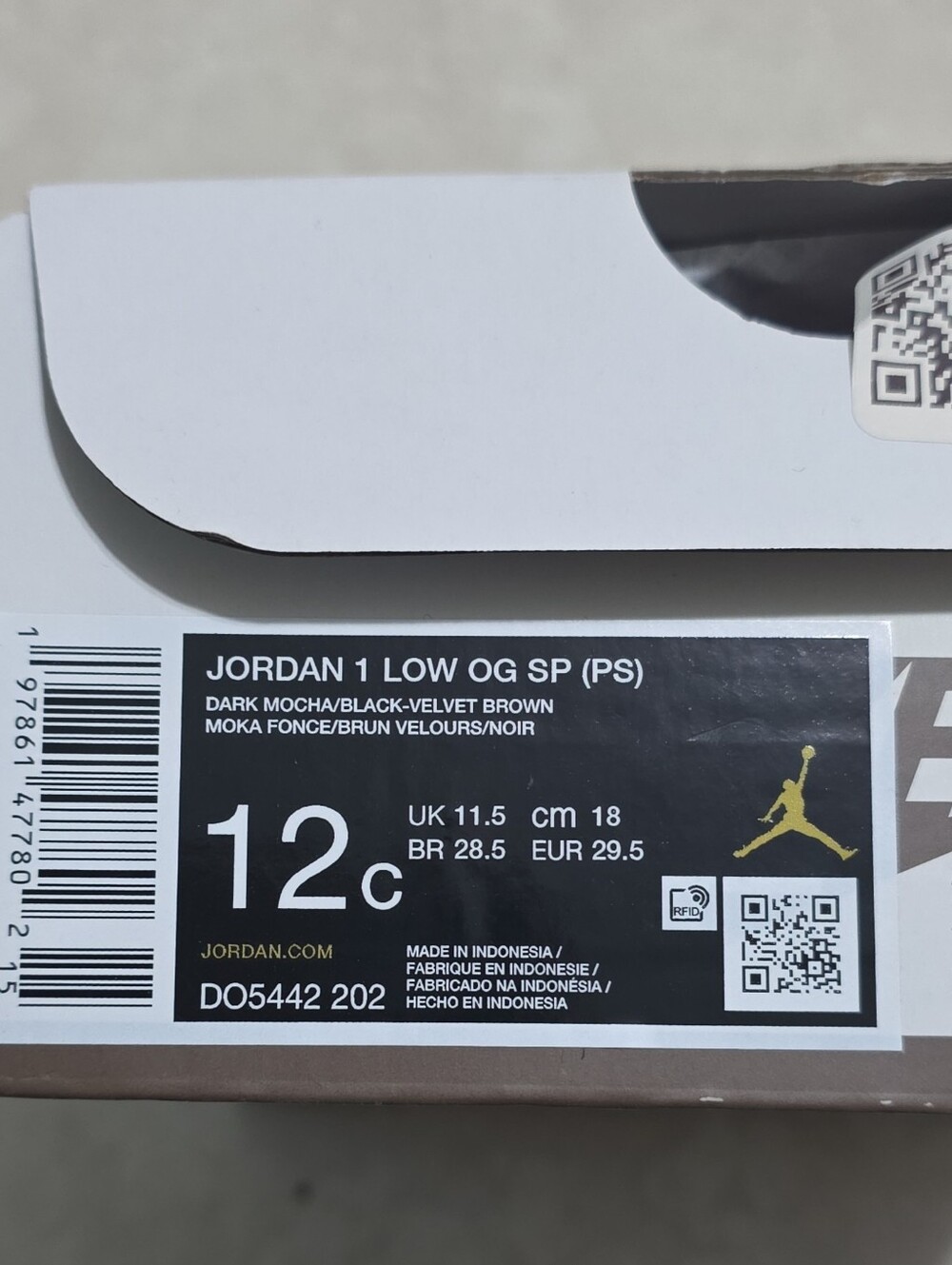 Empty Shoe Box